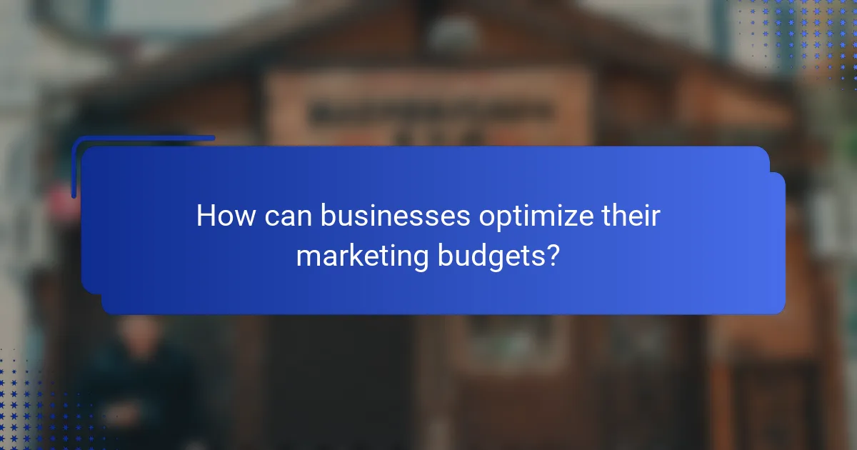 How can businesses optimize their marketing budgets?